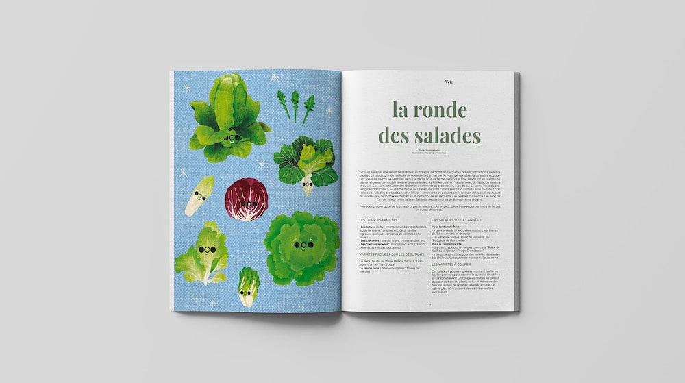 Comment planter des salades au potager ? — Veìr Magazine